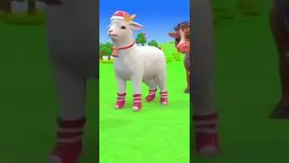 Animal Videos Kid's video Cartoon video #animation #pogotv #cartoon #funny #lion #animals #viral