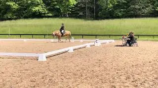 Working Equitation USAWE Novice B dressage test with Fina