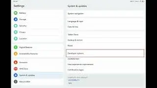 How to enable developer option HarmonyOS - Huawei Matepad 11.5