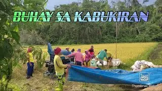 BUHAY SA KABUKIRAN
