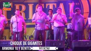 EL SOLITARIO ARMONIA 10 EN CARQUIN