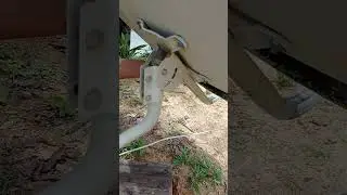 setting dish/ piring mytv Malaysia