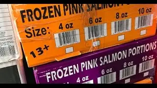 Why Restaurants Should Not Buy Wild Salmon Here.... But they are :(