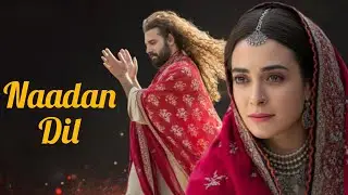 Naadan Dil | A Deep Sufi Melody for Broken Hearts & sufi song | hbgsong 