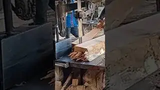 Menggergaji kayu busuk