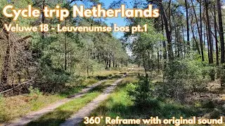 Dutch Veluwe Road Trip 18 - Leuvenumse Bos pt.1 (Reframe - Original sound)