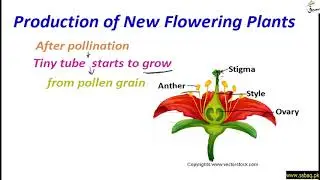Production of New Flowering Plants, General Science Lecture | Sabaq.pk