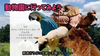 那須どうぶつ王国　王国ファーム〜動物園に行ってみよう〜