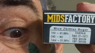 BLUE ZKITTLEZ SUG@R INDIC@ RELAXATION