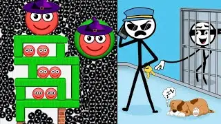 🫥 Hide ball brain teaser 🆚 Thief puzzle Gameplay all levels