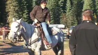 Have an unforgettable dude ranch vacation at the Bar W Guest Ranch