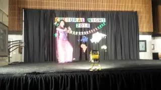 UNTHSC Cultural Night 2014
