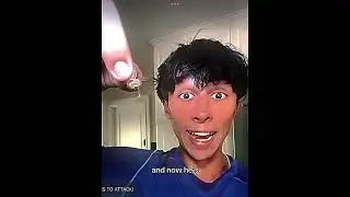 The bees 🐝 @tyler.vitelli #edit #funny #fyp