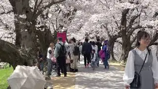 Yodo River Park Sewaritei District