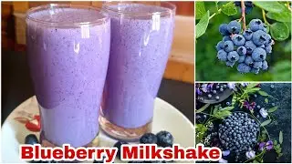 Blueberry Milkshake | Blueberry Shake Recipe | Healthy Summer Drink | The Woods Caf&eacute;