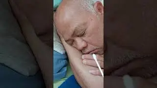 Tickle old man's nose! #shorts #buhayamerika