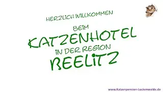 Katzenhotel Beelitz - Katzenpension Luckenwalde -  www.katzenpension-luckenwalde.de