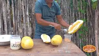 VEJA COMO &Eacute; PEGAR MEL&Atilde;O PEPINO NA RO&Ccedil;A E FAZENDO O SUCO DELICIOSO - LEMBRAM DISSO?