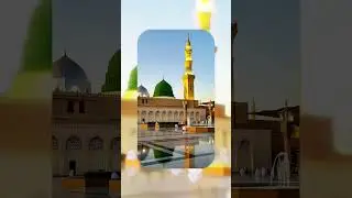 Sarkar Ab To Gham Ho Gaye | Islamic Wisdom Hub Official | Beautiful Naat Sharif | Islamic Naat