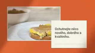 Vid&eacute;o 