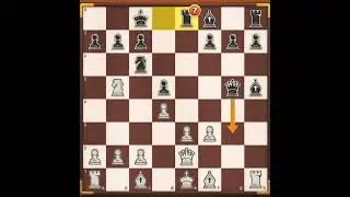 Chessboard ♟️ ❣️ Look that Options for Winners 🏆