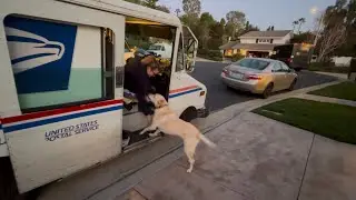 Не кусай руку, которая&hellip;