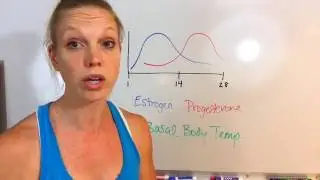 An Overview of Cooling vs Warming Foods!