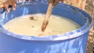 Ground Report |Andhra Pradesh: Success Story on ORGANIC FARMING-West godavari (Pavan)