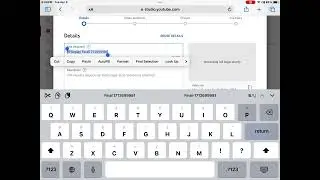 Making A VIDEO IN A VIDEO!