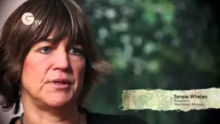 What Is the Rainforest Alliance?