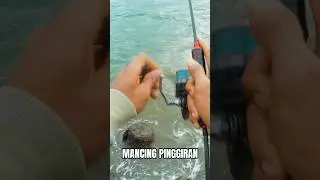 MANCING BABY GT #fishing #ultralightcasting #mancing #mancingmania #castingultralight
