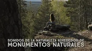 Sonidos de la naturaleza caminando por el bosque en las cercan&iacute;as del pueblo Smolkino