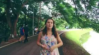 Teach English in Chiang Mai, Thailand | Relocate to Chiang Mai with Settle in Abroad |
