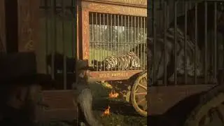 🤔🤔🤔🤔🤔 | #rdr2 #rdr2clips #rdr2shorts
