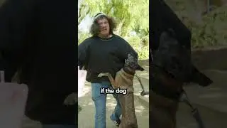How To Survive A Dog Bite