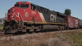 Skeena Pacific #1533 CN Train #355 at Sorenson Street, Matsqui, BC   2020 09 03