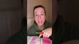 DINOSAUR?!🦕 JOB 40