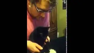 My Poor Cat Forced to Play Bongos