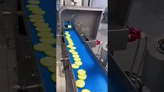 Commercial slicer, advancing at a constant speed, produces uniform thin slices in seconds, makin