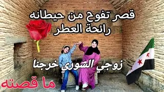 قصر بن وردان🇸🇾⛪رسومات غريبة⚜️مبني بماء الورد🌸 بسبب🙄 هل هذا حقيقة أم خيال😱