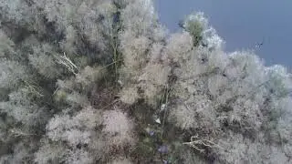 Am Grabauer See