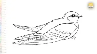 Swallow bird drawings | Birds drawing tutorial | How to draw A Swallow bird step by step #artjanag