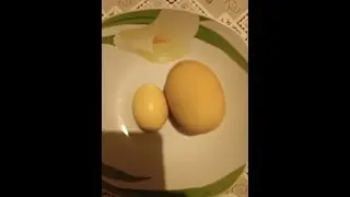 Чудо чудное - яйцо в яйце