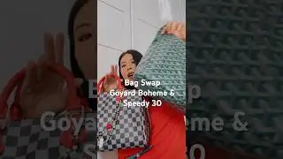 Смена сумки: с Goyard Boheme на Speedy 30.
