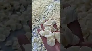 Bugle chips snacks double screw extruder machine bugle cone snacks products fried snack extruder
