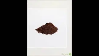 Organic Hemp Coffee Blend - Medium Roast 16oz