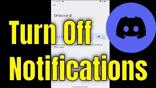 How to Turn Off Notifications on Discord (2026)