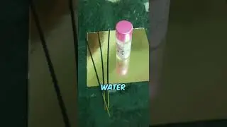 I MADE PERFUME AT HOME 😀... #shorts