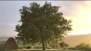 NADA - Nada Yoga (Video Ufficiale)