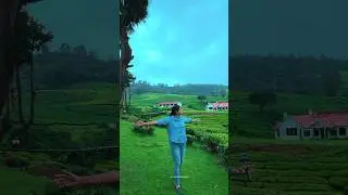 Hungerford Estate In Ooty #shortsvideo #explore #travel #nilgiris #ooty